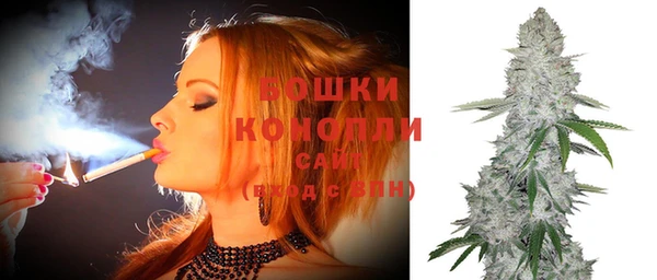 молекула духа Нягань
